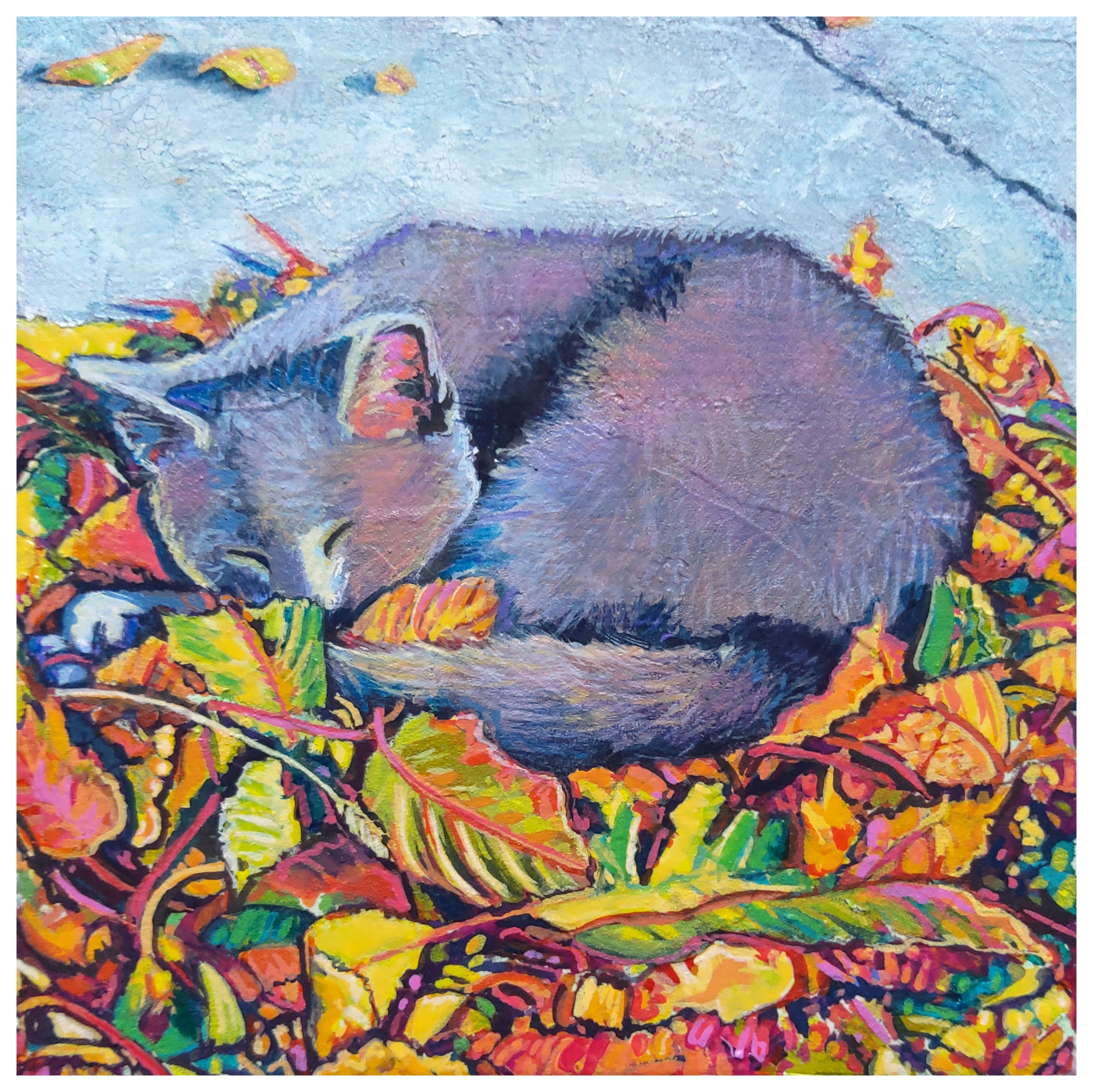 Cat Nap #1