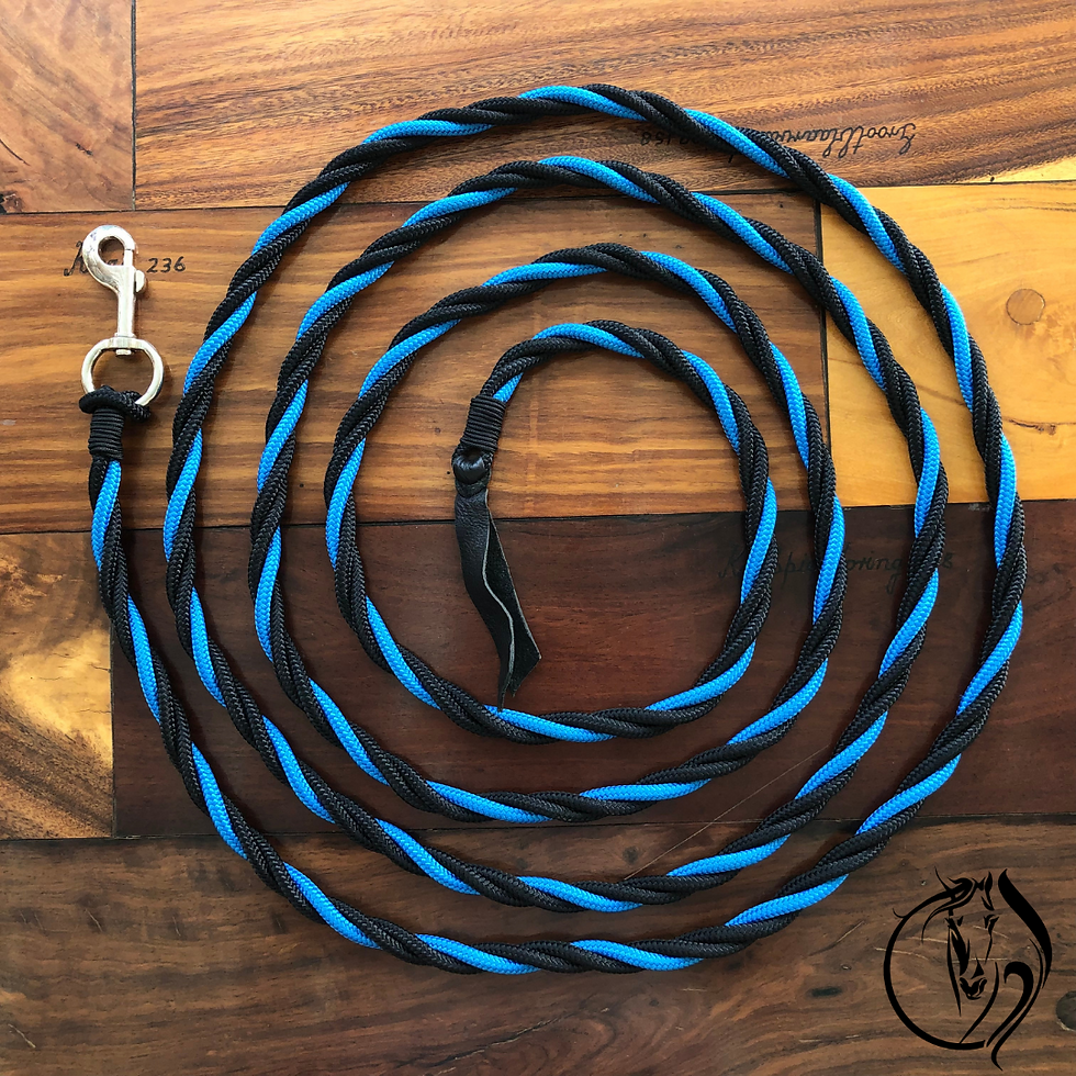 Thumbnail: Twisted Training Rope (4,6m)