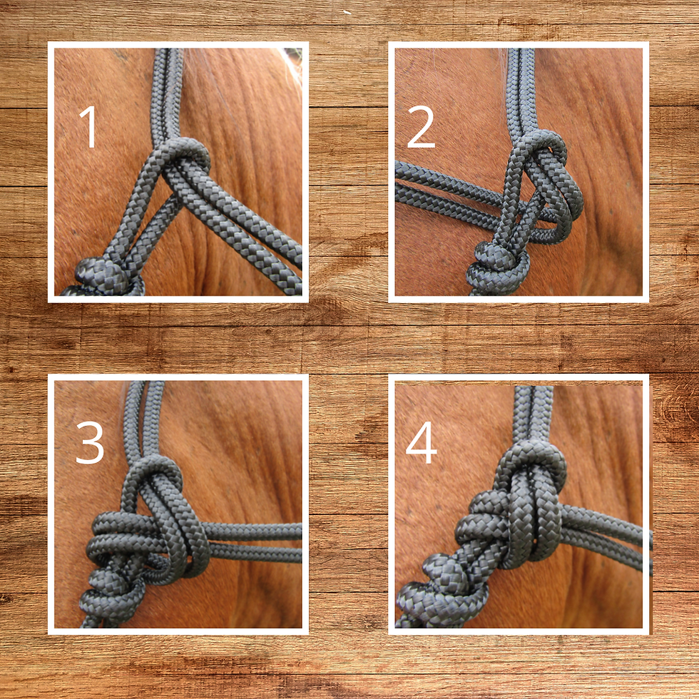 Thumbnail: Standard Rope Halter and Lead