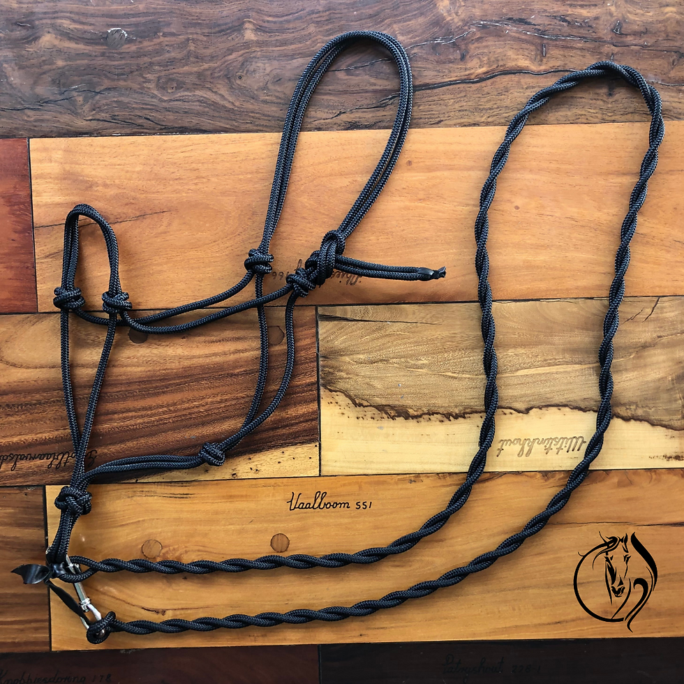 Thumbnail: Standard Rope Halter and Lead