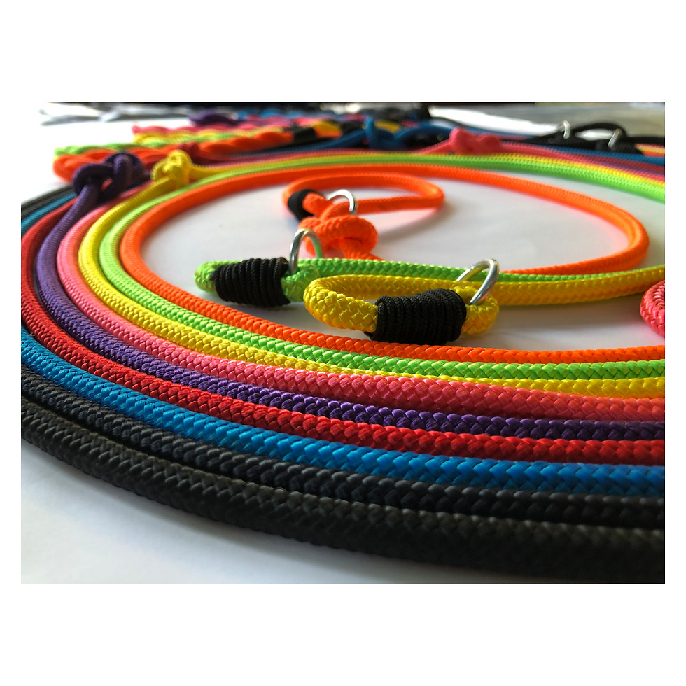 Thumbnail: Dog Slip Lead (One-size-fits-all)