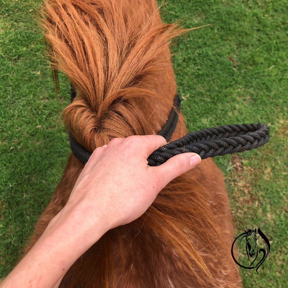 Thumbnail: Braided Rope Reins