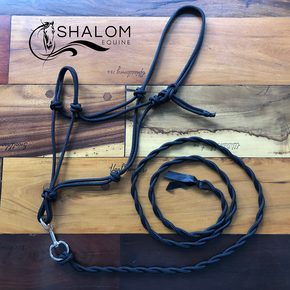 Thumbnail: Standard Rope Halter and Lead