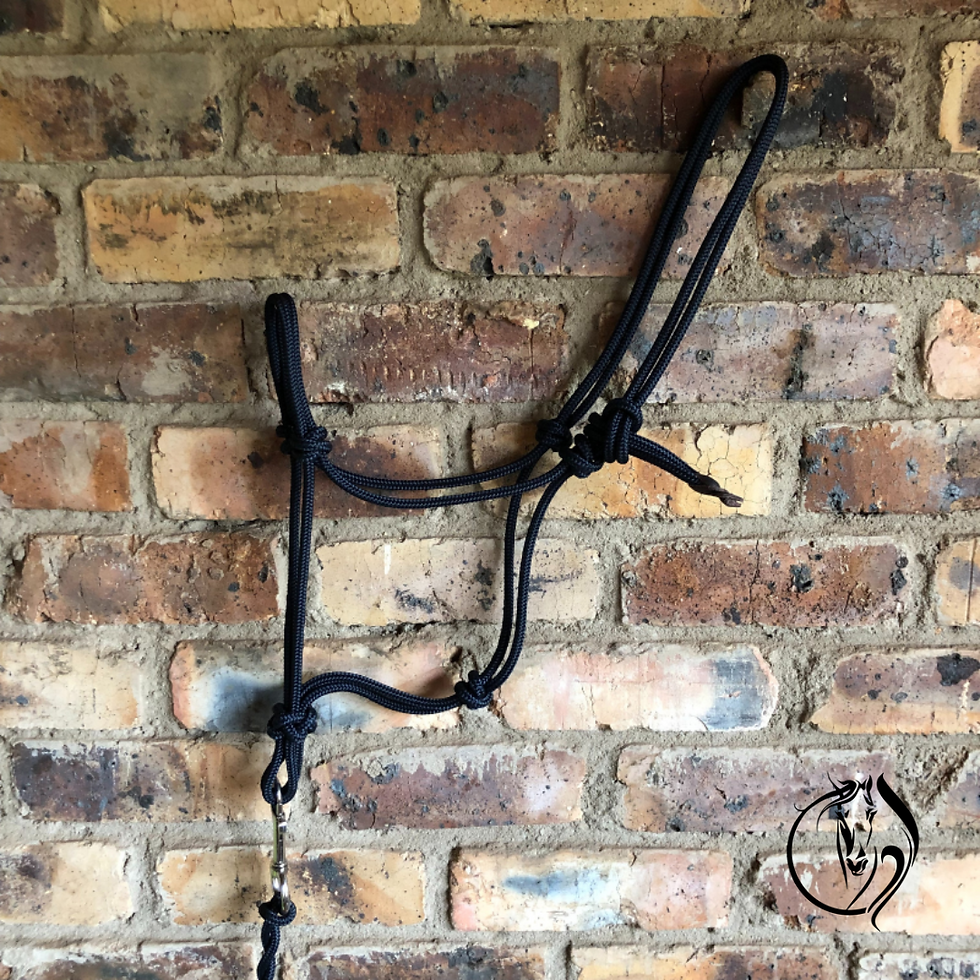 Thumbnail: Standard Rope Halter and Lead