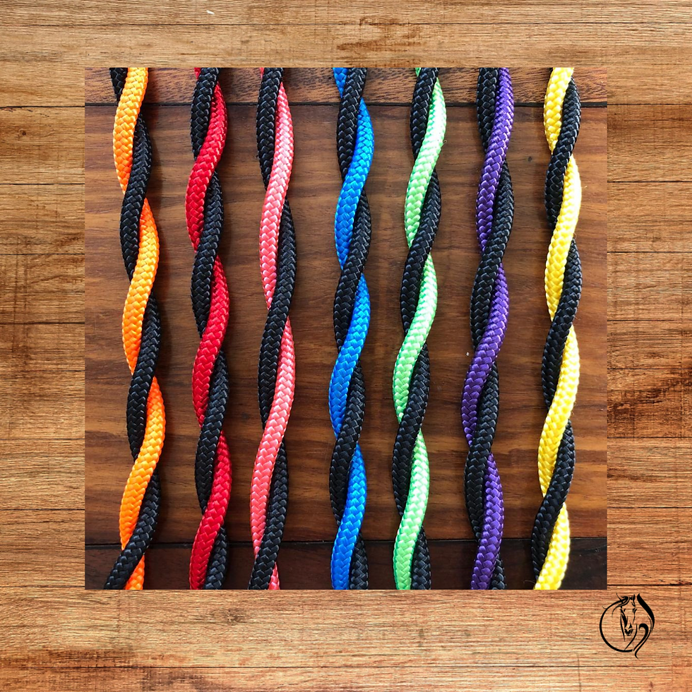 Thumbnail: Standard Rope Halter and Lead