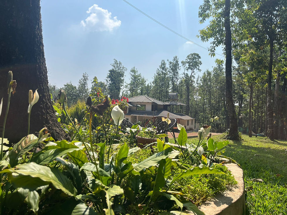 WhatsApp Image 2025-07-03 at 10.11.18 AM (1).jpeg