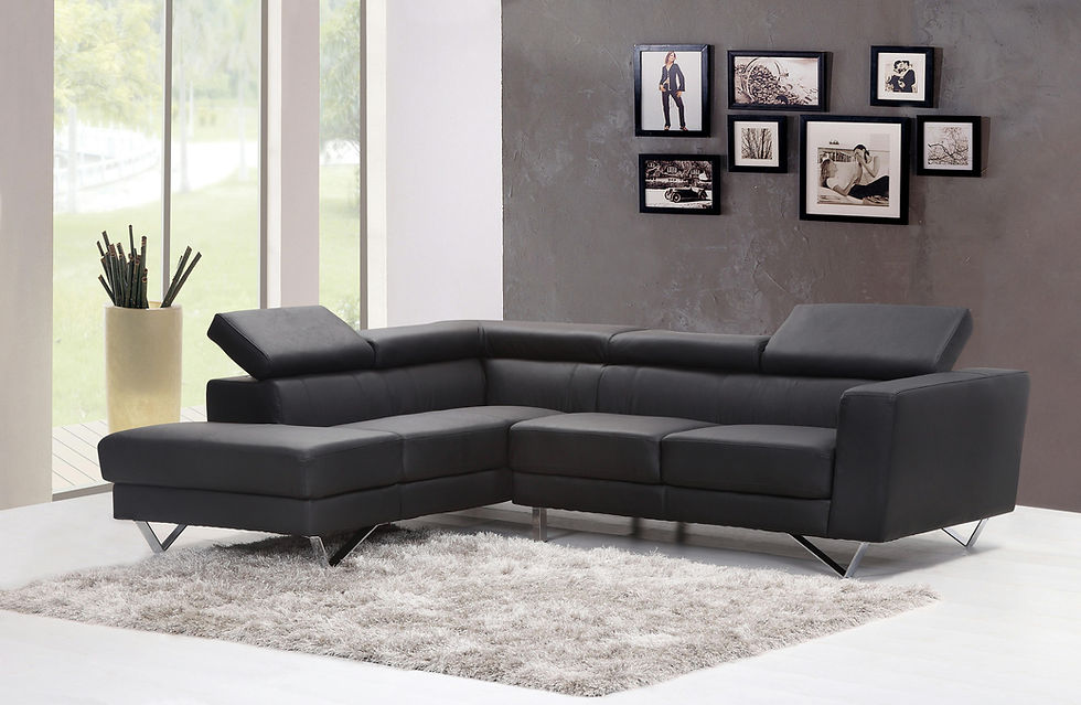 Premium sofa with with branded machanism