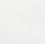 white background.jpeg