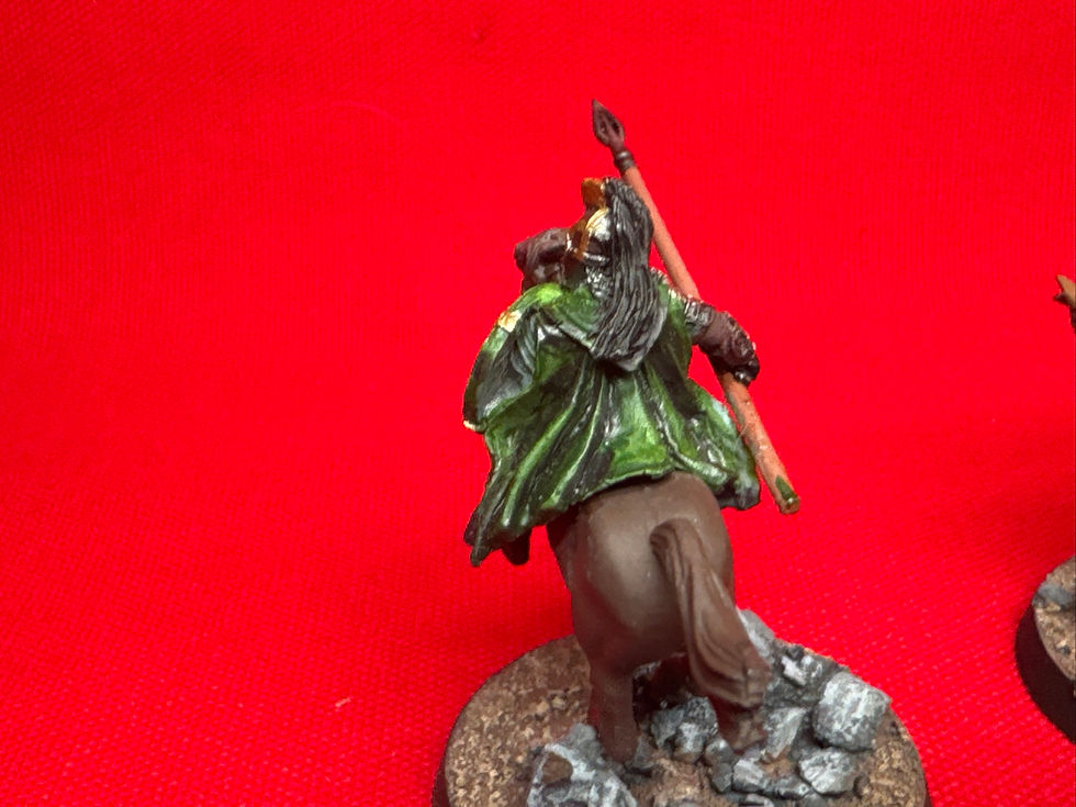 Thumbnail: Rohan royal guard x2     Pro painted   (RY3 BX)