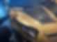 IMG_4386.jpeg