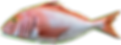 sinarit_edited_edited.png