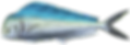 lambuka_edited_edited.png