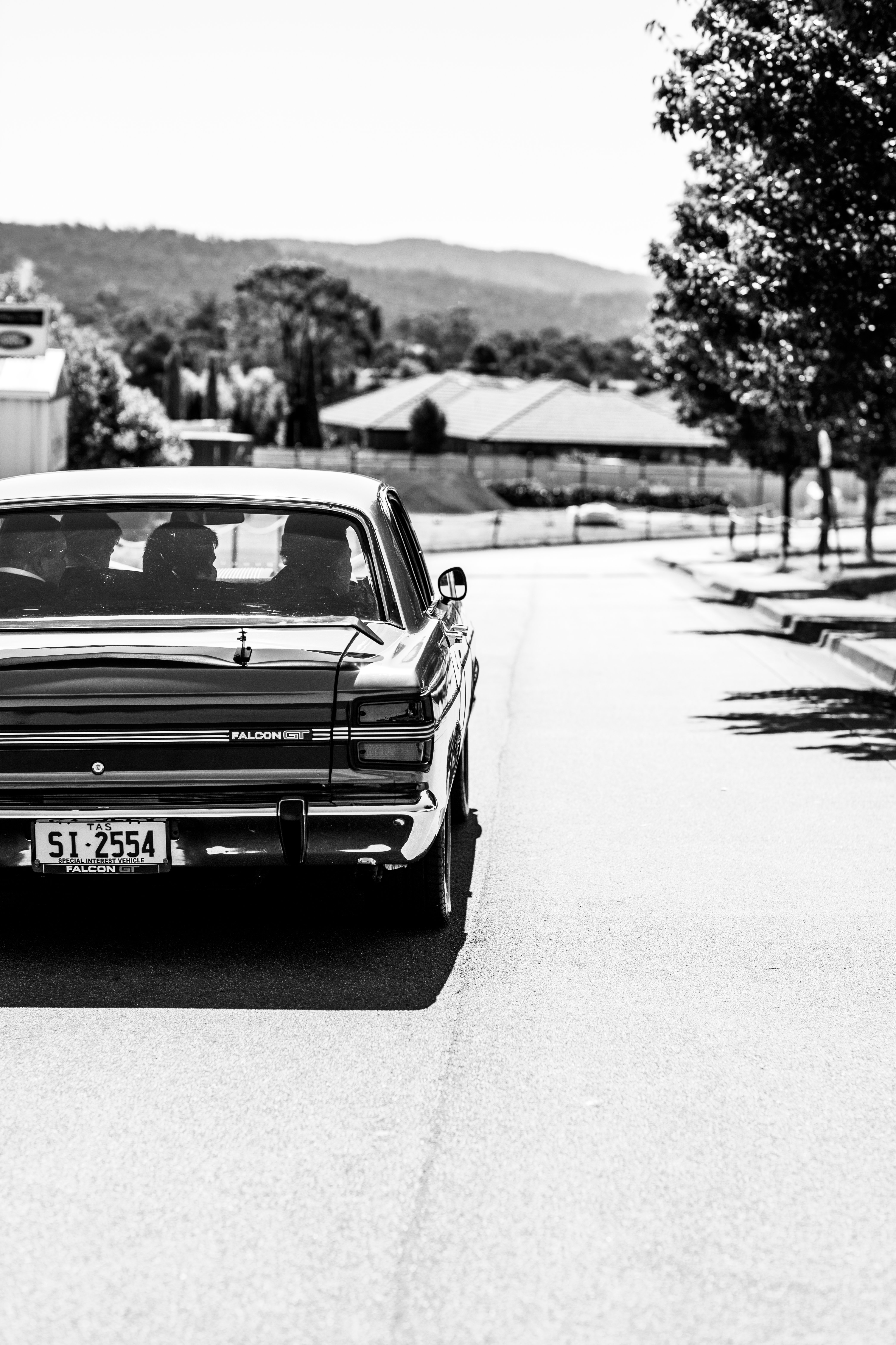 Mark Allan Photography — photo 14 of 18