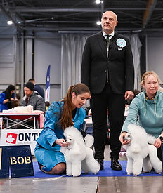 DSC_1672aaaaa (2)_edited.jpg