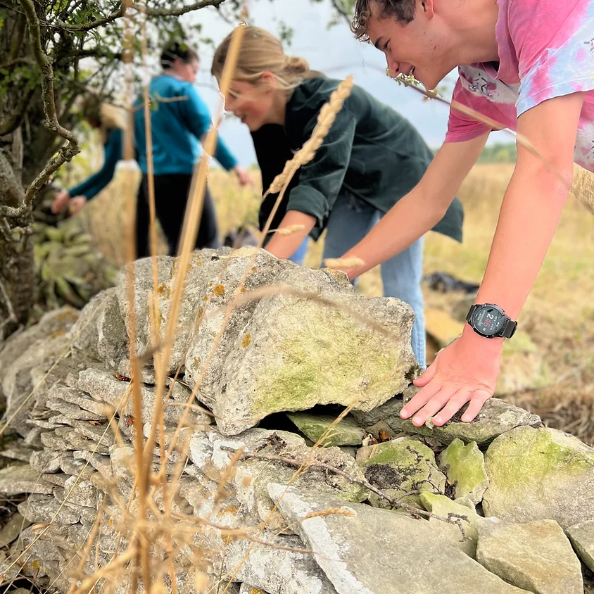 Two Day - Dry Stone Walling Course