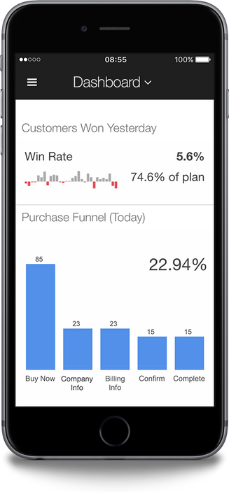 Executive Dashboards on the Go