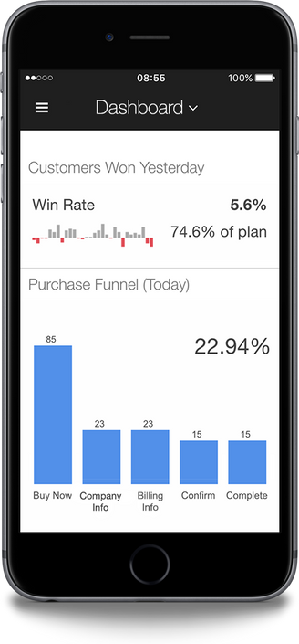 Executive Dashboards on the Go