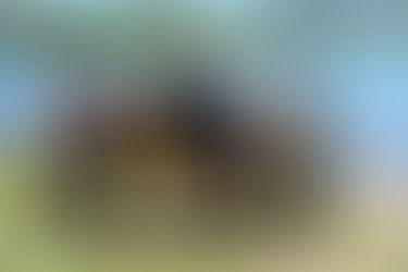 Kolob Reservior Youth Paddling Camp 2024