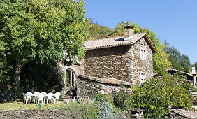 Gite figues nature cevennes.jpg