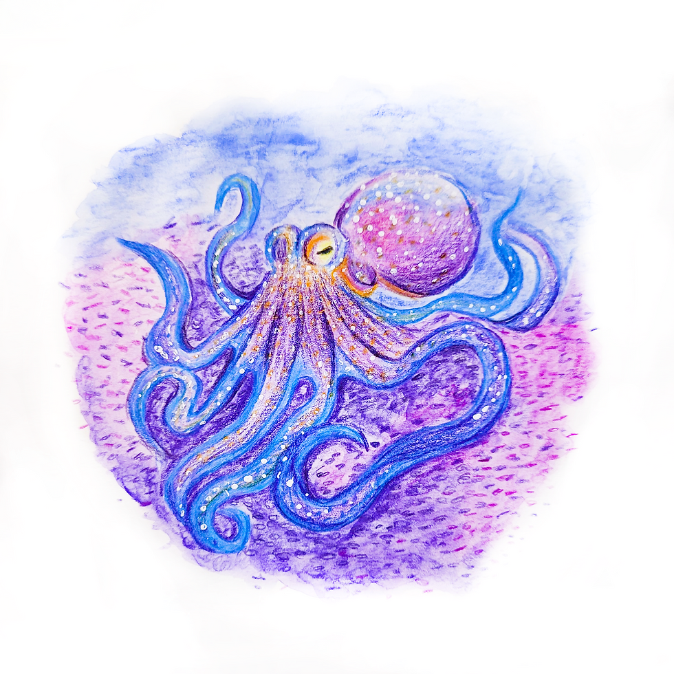 Untitled_Artwork-2.png