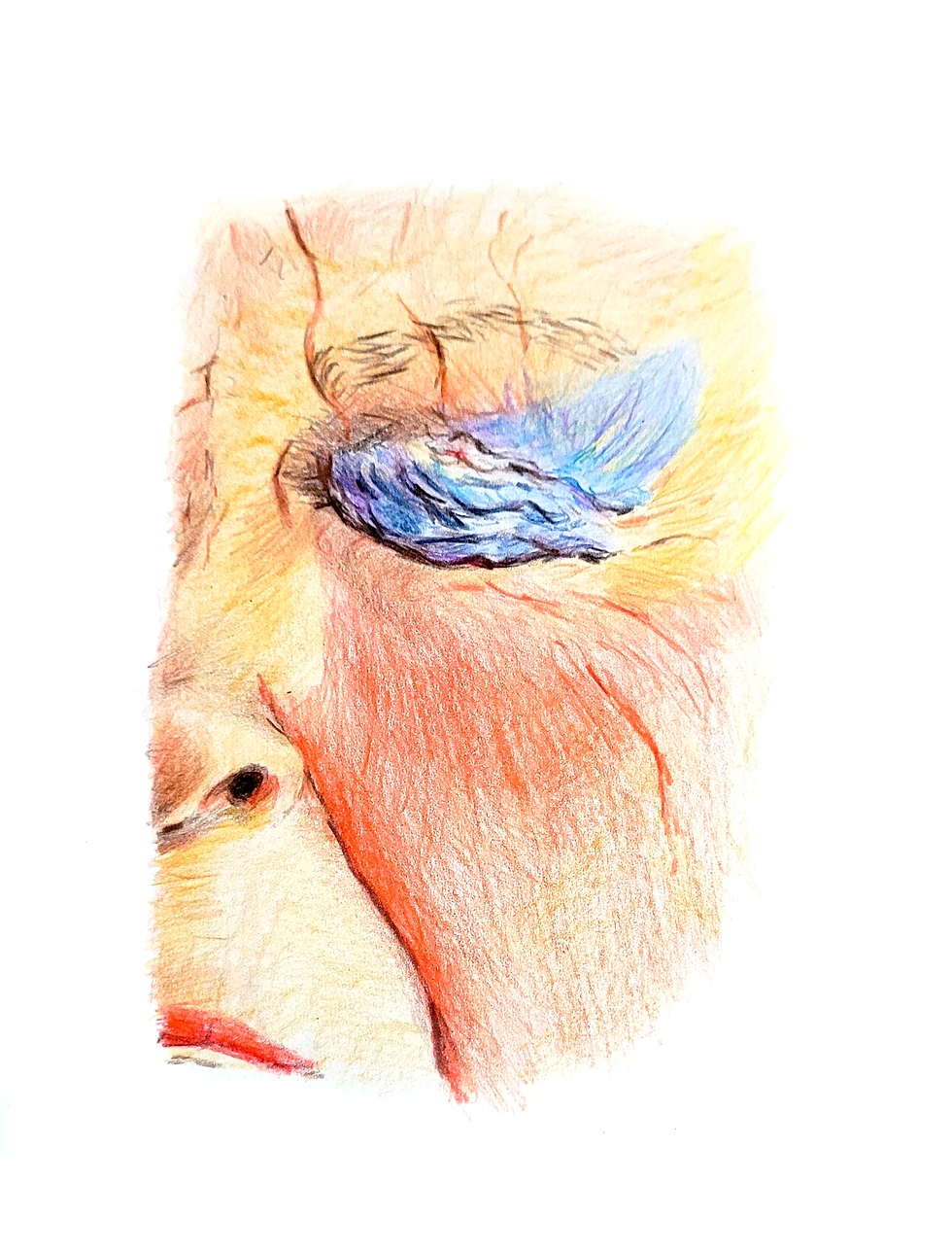 Untitled_Artwork-2.png