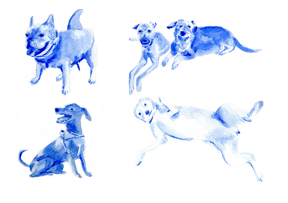 Untitled_Artwork-2.png