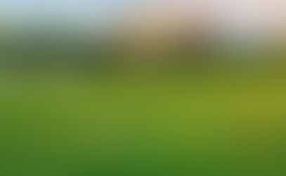 Premier Winter Training Experience