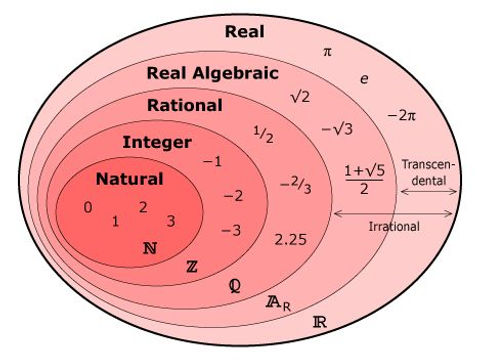 Number Type For Math The Number Of Types