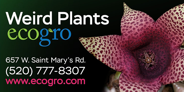 ecogro: aquaponics store in tucson az