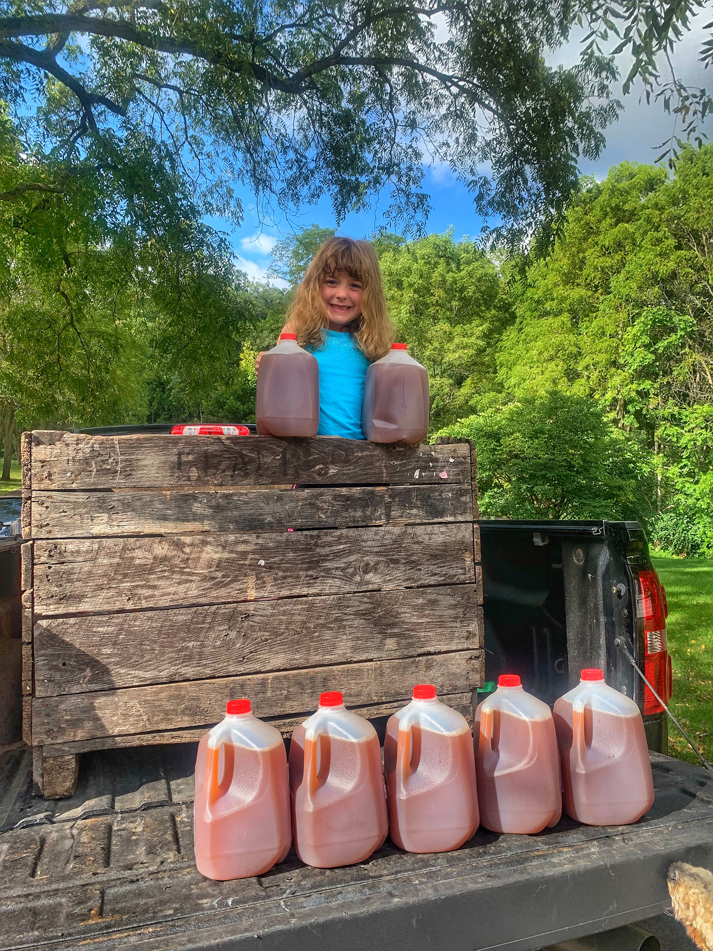 Organic Apple Cider