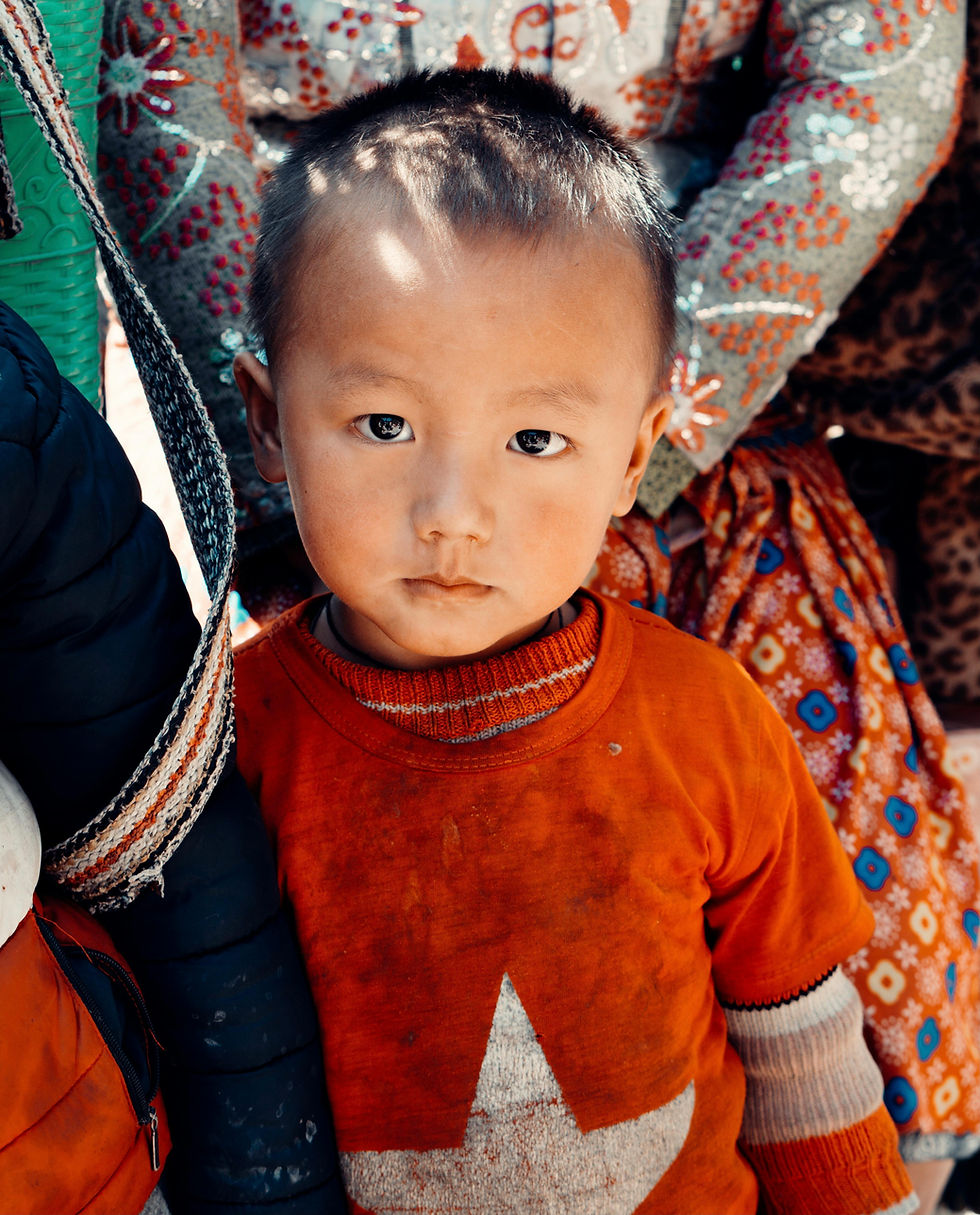 pexels-quang-huy-249161038-12871497.jpg