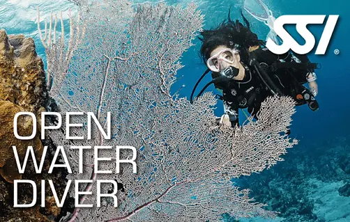 Curso-Open-Water.webp