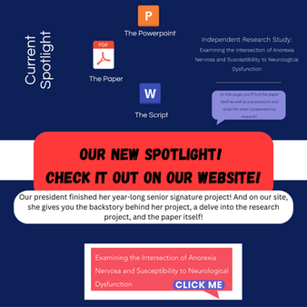 New Spotlight Feature!