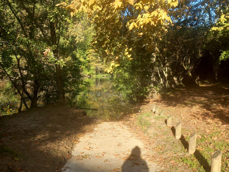 La frontière fine entre les mondes