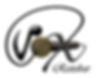 vox_new_6_colored7_wo_shadow-bmp