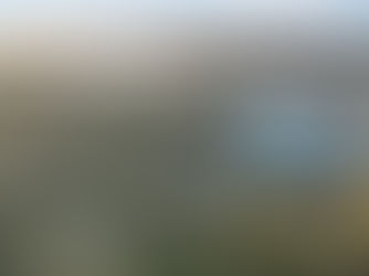 6 Tips to Make Your Real Estate Listings Stand Out in the Pacific Northwest