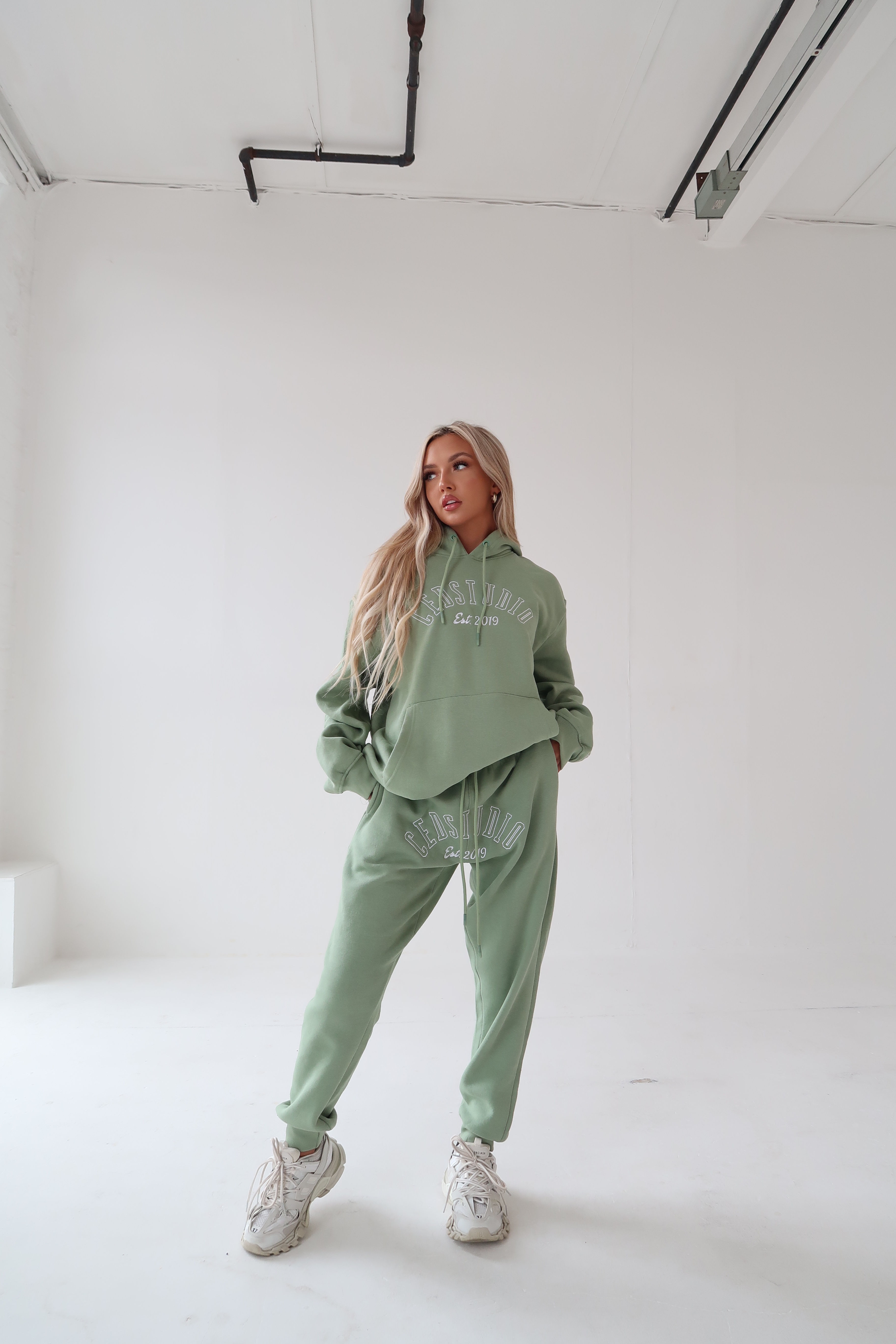 Essential Vault 1.0 Sage hoodie