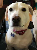 F7722CF6-45BB-4514-A487-B4499E398449 - T