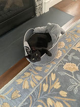 F3C662DC-2DC0-4C5A-9377-80638E33902A - C