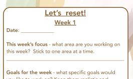 Thumbnail: Reset and Rise Journal