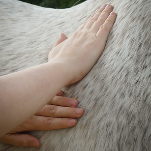 P1160192.png