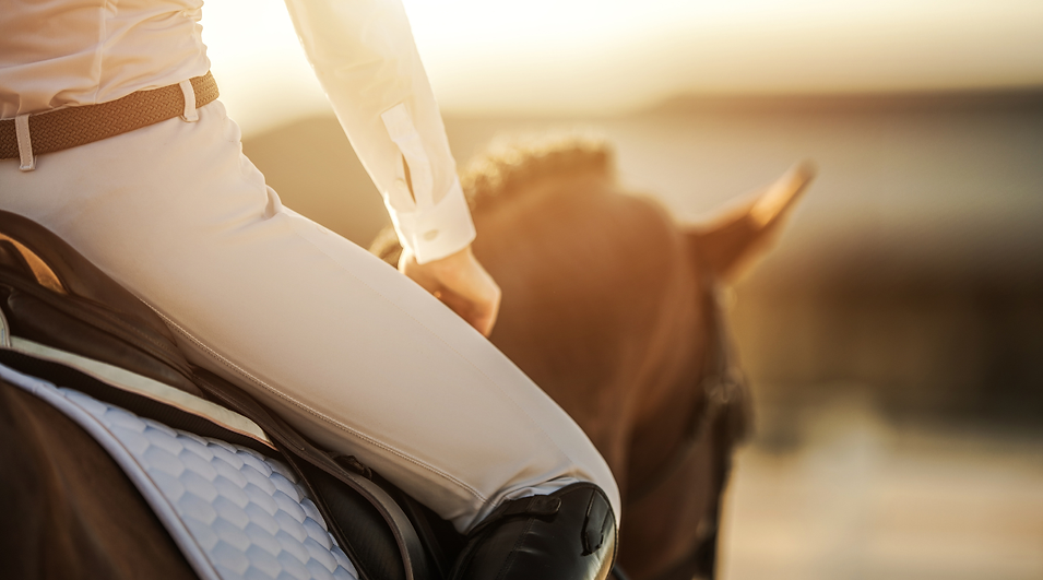 Untitled design (17).png