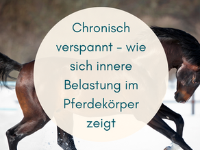 Chronisch verspannt - wie sich innere Belastung im Pferdekörper zeigt
