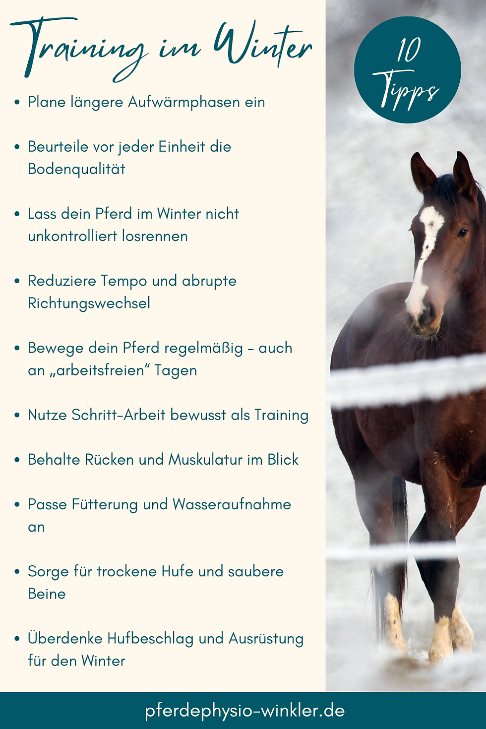 Pferdetraining im Winter