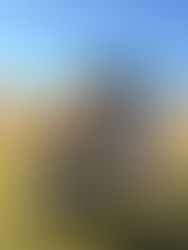 Mentoring Bennett for His First TJGT!