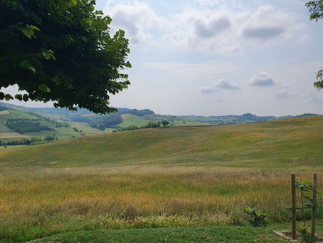 Scoprire il Monferrato: Percorsi di Enogastronomia e Passeggiate tra Big Bench e Panorami UNESCO - Monfreedom