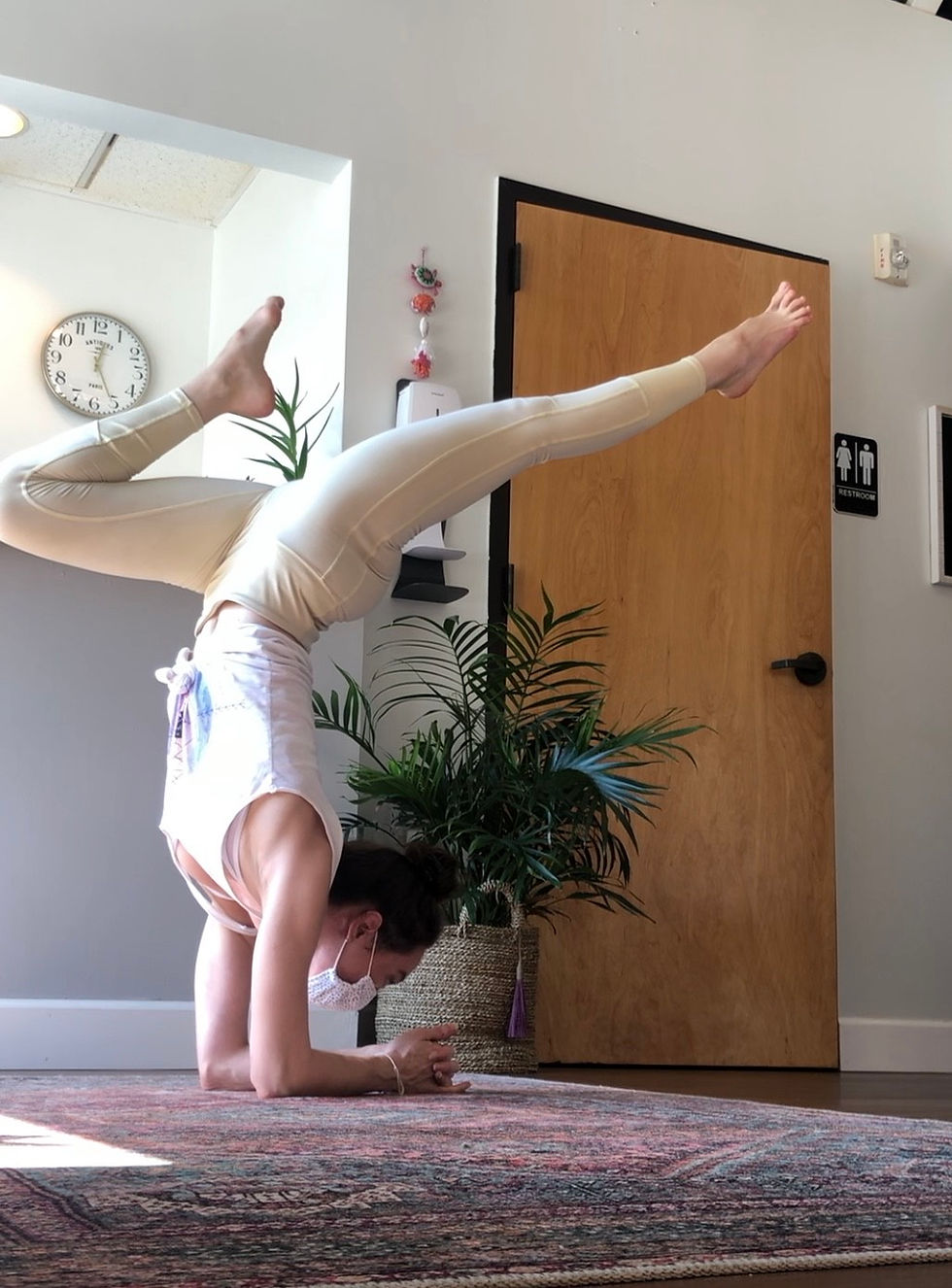 Forearmstand Workshop