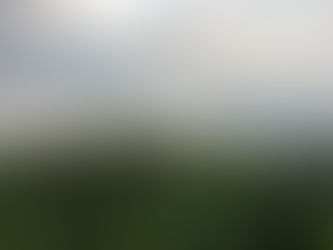 Stepping Into Your Capacity