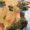 Thumbnail: Marshlands I 16" x 16"