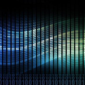 They’re Not Random: Understanding the Patterns Behind Multilingual Learners’ Errors